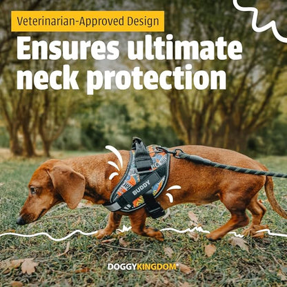 Personalized No-Pull Dog Harness with Name Patch, Adjustable, Reflective, Padded, Heavy Duty Pet Vest to Prevent Tugging, Pulling, or Choking, Training and Walking, Orange, XL