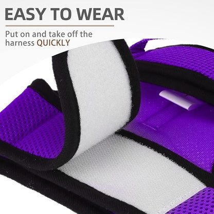 PUPTECK Soft Mesh Cat Vest Harness and Leash Set Puppy Padded Pet Harnesses Escape Proof for Cats Small Dogs, Purple Large
