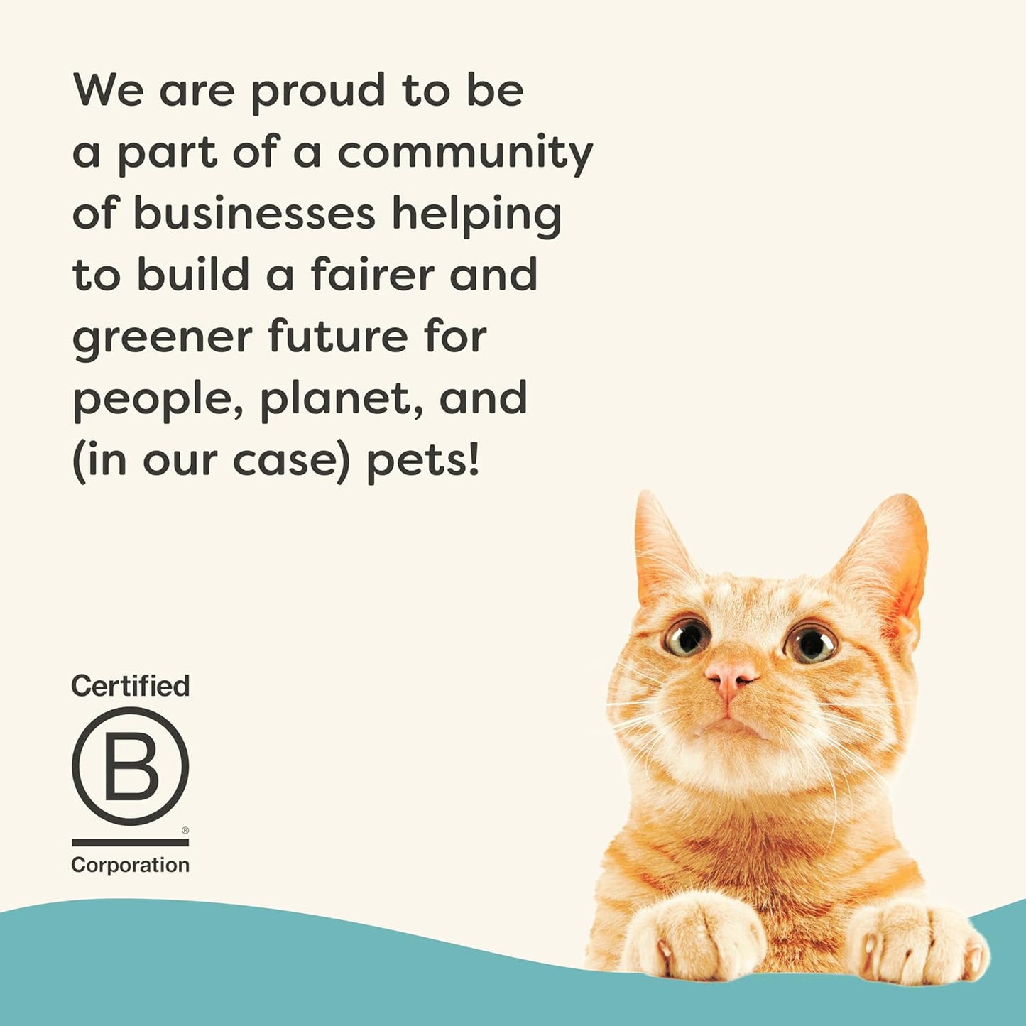 Applaws Vitality Wet Cat Food Paté, Natural Cat Food with Added Vitamins & Minerals, Grain-Free, Carrageenan Free, Tuna Fillet and Mackerel Recipe (24 Count, 2.47 oz Cans)