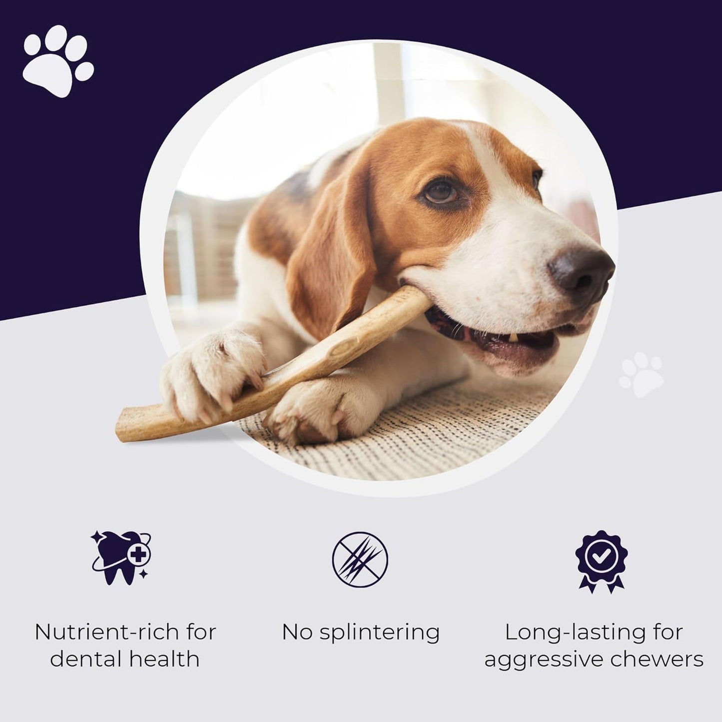 Devil Dog Pet Co. Elk Antlers for Dogs, Petite 3.5"+, 6 Pack, Grade A Long Lasting Chew for Aggressive Chewers, Premium USA Naturally Shed Antler – Healthy, No Odor, Durable Dog Chew