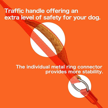 Howgo Dog Slip Lead Dog Leash, Training Lead, No-Pull Slip Leash and Collar, Heavy Duty & Durable Nylon, Padded Handle, for All Breeds (Orange, 5FT)