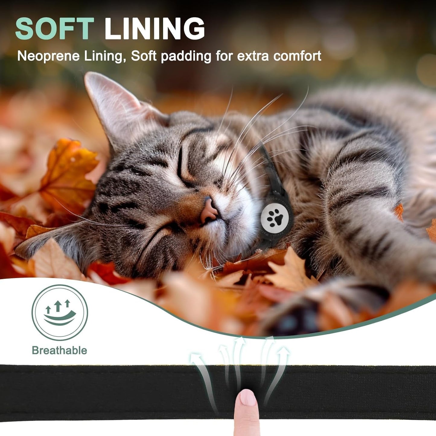 Airtag Cat Collar Breakaway, Reflective Kitten Collar with Apple Air Tag Holder and Bell, Comfortable Padding, Adjustable, Durable, Fits for Girl Boy Cats (Light Black, XS(8"-10.5"))