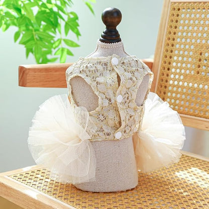 ANIAC Small Dog Dresses,Girl Puppy Princess Tutu Dress with Bow Knot,Cat Outfit,Chihuahua Yorkie Clothes for Birthday Wedding (Medium, GL)