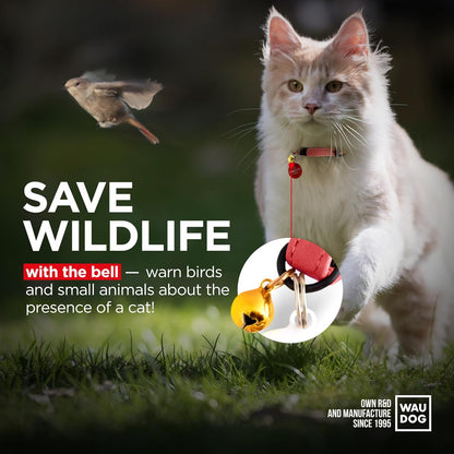 Leather Cat Collar with Bell and Safety Elastic Strap Breakaway Alternative for Small & Large Kittens, Stylish Pet Leather Collar for Boy, Girl Cats with Metal Buckle & QR ID Tag (Red)