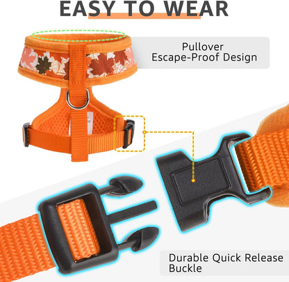 SCENEREAL Fall Dog Harness Collar and Leash Set for Small Dogs, Orange Leaf No Pull Dog Harnesses, Adjustable Step in Pet Vest for Doggie Puppy Cats Walking Outdoor, Chihuahua Yorkie Harness XS