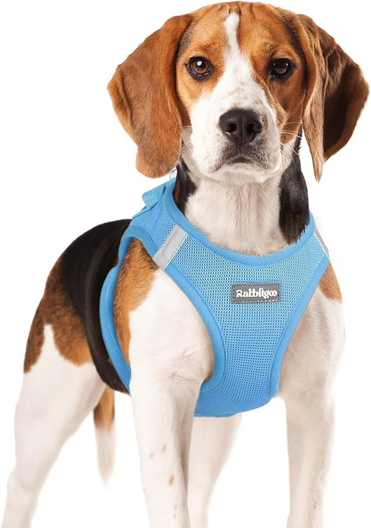 rabbitgoo Small Dog Harness, Step-in Soft Mesh Puppy Vest with Safety Buckle, Breathable Reflective Pet Harness for Small Medium Dogs, Blue XL
