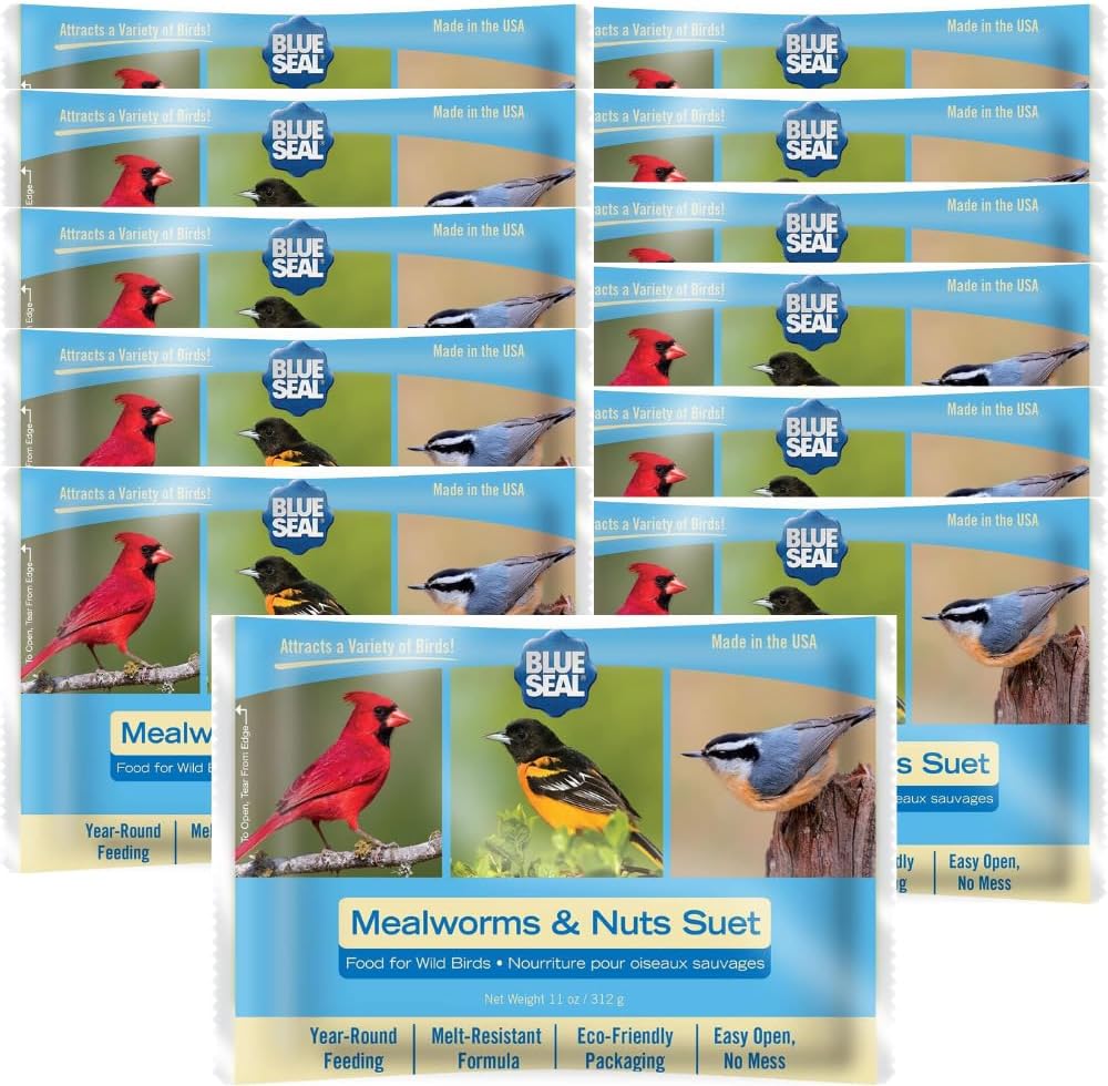 Blue Seal Mealworms & Nuts Suet Cakes for Wild Birds - No Mess Suet Feed, Food for Woodpeckers, Cardinals, Siskins, Sparrows & More - 11oz Suet Feeder, Bird Seed Cakes (Pack of 12)