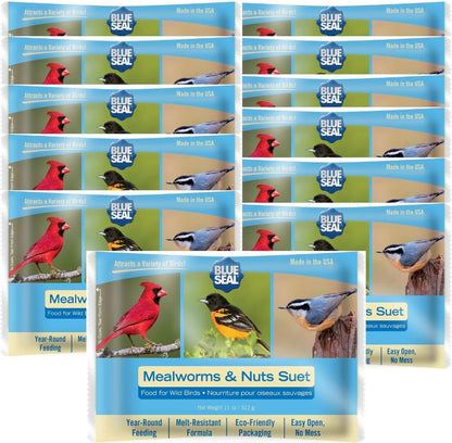 Blue Seal Mealworms & Nuts Suet Cakes for Wild Birds - No Mess Suet Feed, Food for Woodpeckers, Cardinals, Siskins, Sparrows & More - 11oz Suet Feeder, Bird Seed Cakes (Pack of 12)