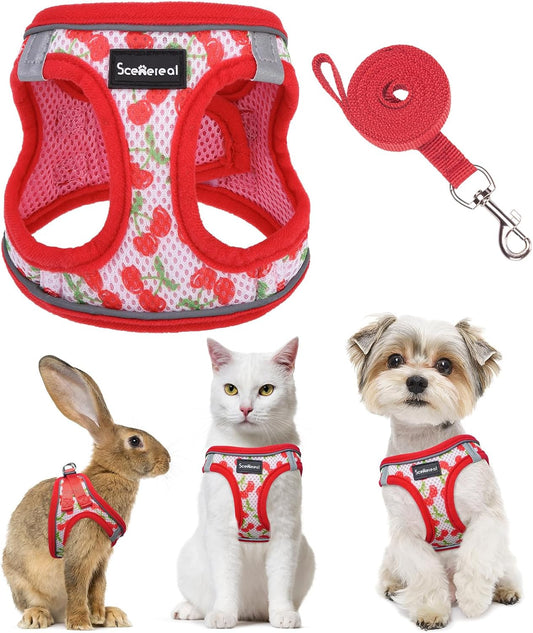 SCENEREAL Cat Harness & Leash Set Escape Proof - Adjustable Air Mesh Vest with Reflective Strips for Kittens, Puppies, Rabbits, Cherry M