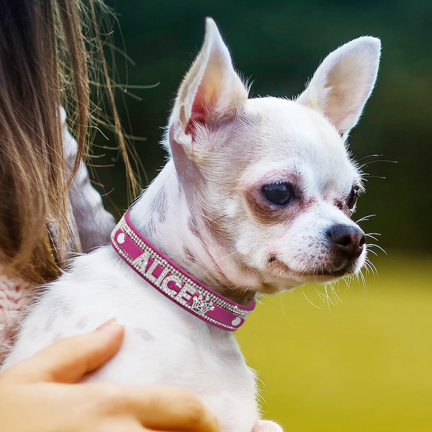 Crystal Dog Collar Personalized with Bling Name,Custom Sparkling Rhinestones Dog Collar for Small Medium Large Dog (M,Hot Pink)
