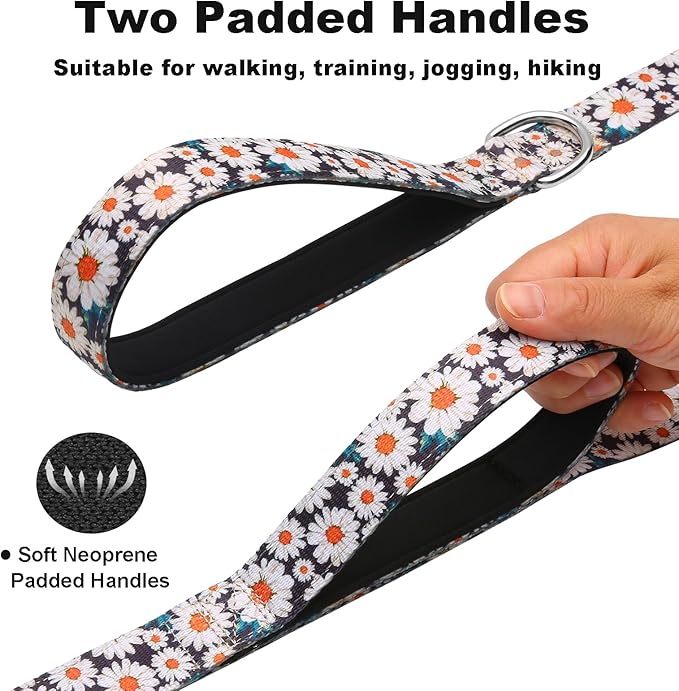 4ft Dog Leash with Two Padded Handles, Heavy Duty Strong Nylon Pet Leash with Soft Neoprene Handle for Small Medium Large Dogs, Daisy