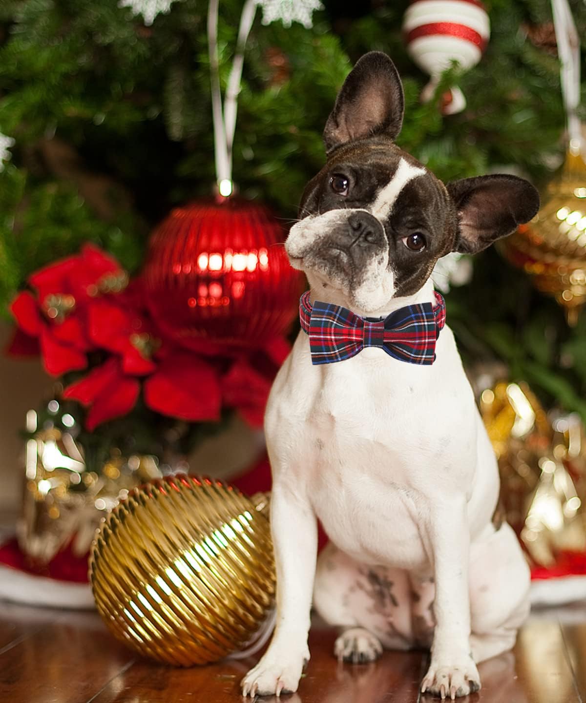 DOGWONG Premium Christmas Dog Collars, Red Plaid Dog Collar, Adjustable Heavy Duty Girl Boy Dog Collar with Bow for Small Puppy Dogs