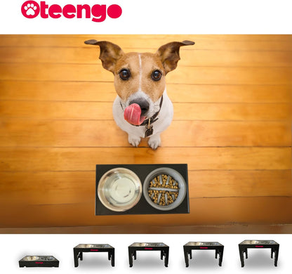 5-Tier Elevated Dog Bowls, Feeding Station Holder with 2 Stainless Steel +1 Slow Feeder Bowls Elevated, Water & Food Bowl Stand, Raised Dog Bowl Stand for Medium Size, Small & Large Breed