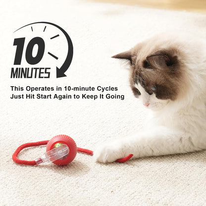 2025 New 3Pack Cat Ball Kitten Toys for Indoor Interactive Kitty Ball Toy Speedy Tail 360° Automatic Rolling(Red Grey Green)