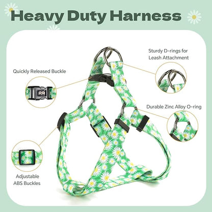 QQPETS Dog Harness Leash Set Adjustable Heavy Duty No Pull Halter Harnesses for Small Medium Large Breed Dogs Back Clip Anti-Twist Perfect for Walking