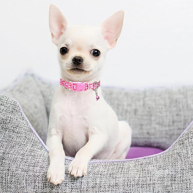 Small Dog Collar for Dogs,Puppy Collars with Bells Pretty Flower Dog Collar for XS Small Tiny Pet Female Dogs S