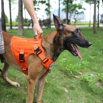 ICEFANG Tactical Dog Harness, Large Size,2X Metal Buckle,Working Dog MOLLE Vest with Handle,No Pulling Front Leash Clip,Hook and Loop Panel (Orange,L (Pack of 1))