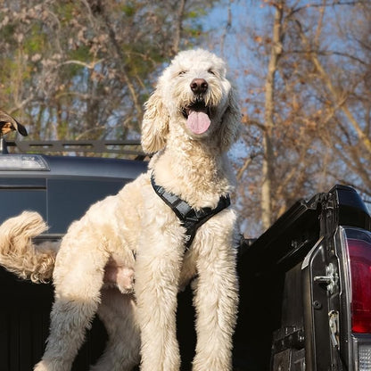 PawsPassion Dog Harness for Medium Dogs, No Pull Dog Harness Easy Walk with Metal Hardware, Ergonomic Y-Shaped Design, Soft Padding, Padded Handle, Durable High-Tensile Nylon (Nightfall, M)