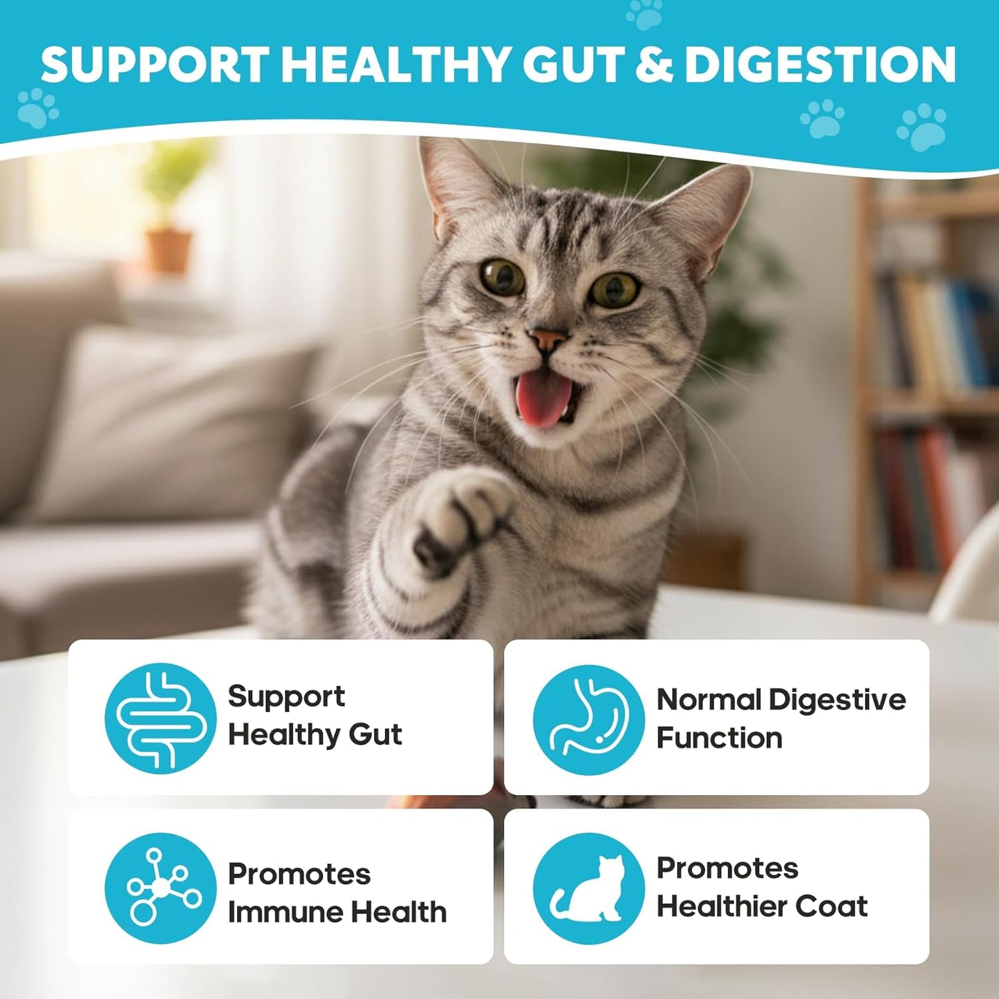 Probiotics for Cats - Cat Probiotic Supplement for Digestive & Gut Support, Diarrhea Relief, Immunity Booster, Cat Probiotic Powder with 9 Billion CFU and Prebiotics, 120 Capsules