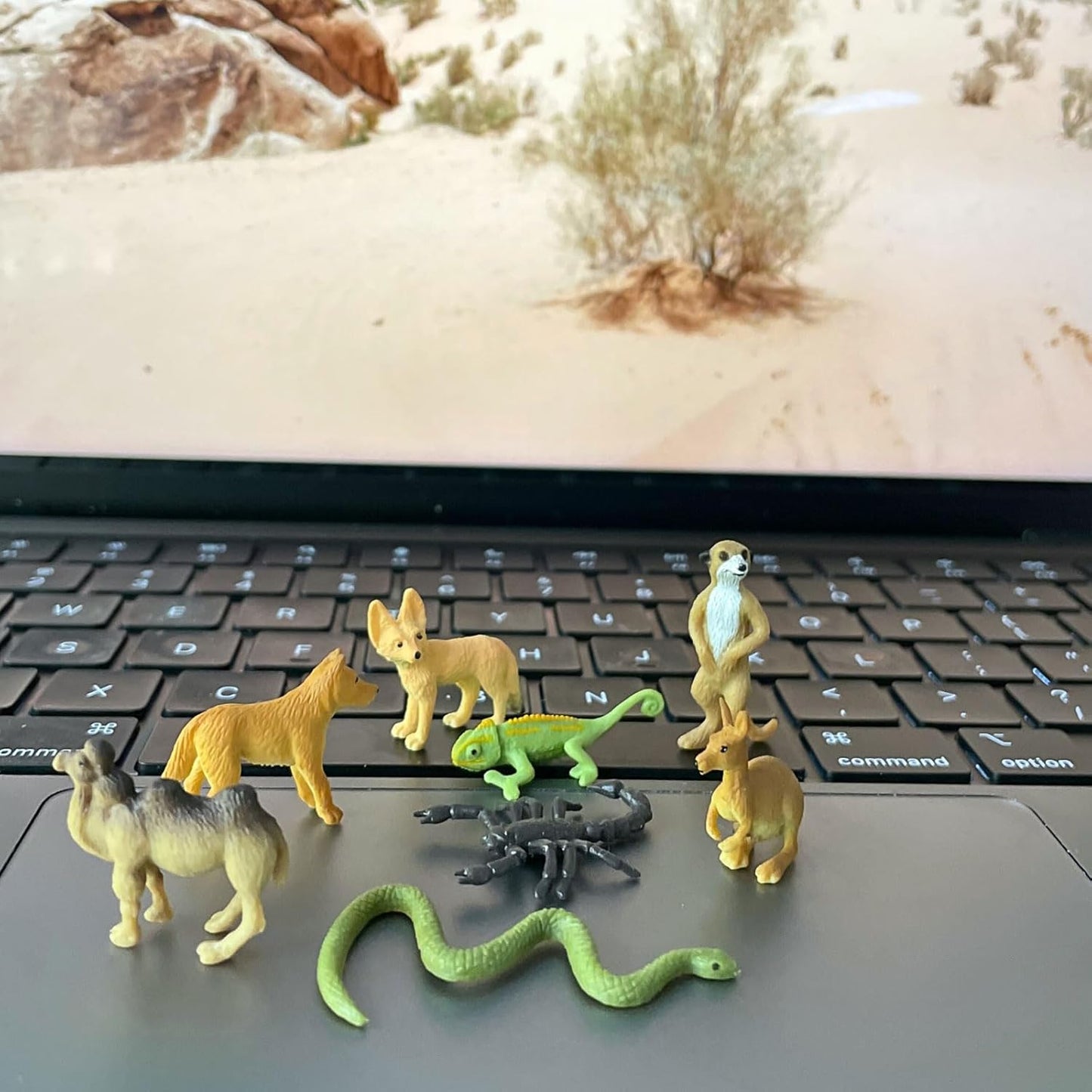 Safari Ltd. Good Luck Minis Desert Fun Pack - 8 Pack of (1) Inch Animal Figures - Toy for Boys, Girls & Kids Ages 5+