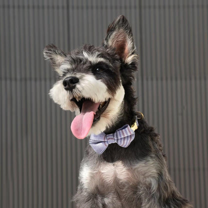 Beirui Cute Small Dog Harness Collar and Leash Set with Bowtie, Soft Adjustable Plaid Puppy Harness for Small Sized Dogs Cats Walks Parties and Photoshoots(Blue,S:Chest 17-23")