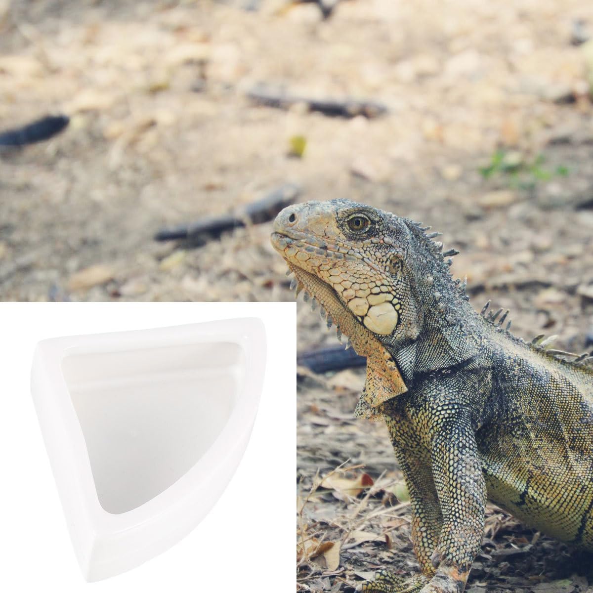 ibasenice Anti-Escape Food Pot Set Ceramic Bowls for Small Animals Hamster Reptile Feeding Watering Supplies 2Pcs Medium Triangle Dish