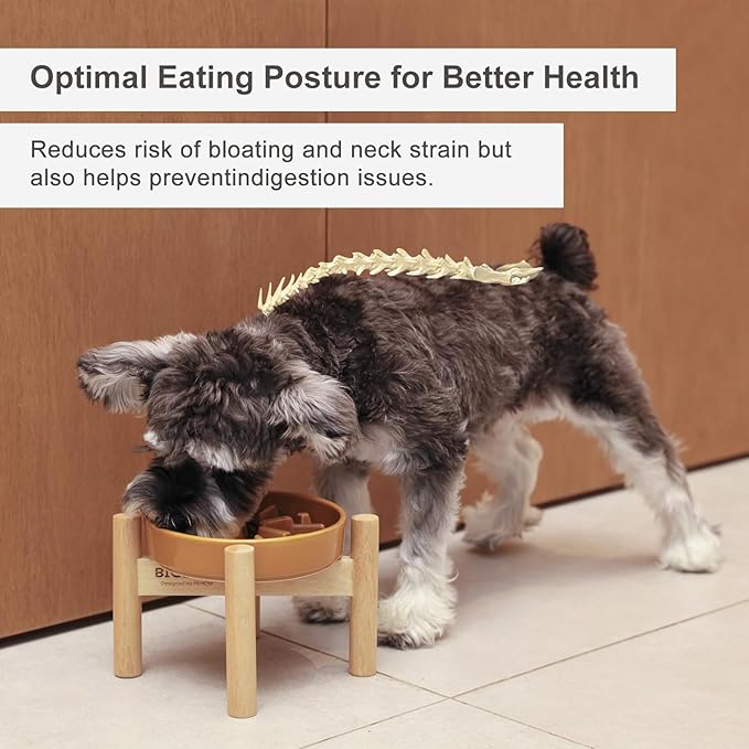 Ceramic Maze Dog Slow Feeder with Non-Slip Silicone Rim (& Bamboo Stand) – Heavy-Duty Stoneware Bowl with Puzzle Pattern for Bloating & Obesity Prevention (Raised-Red-S)