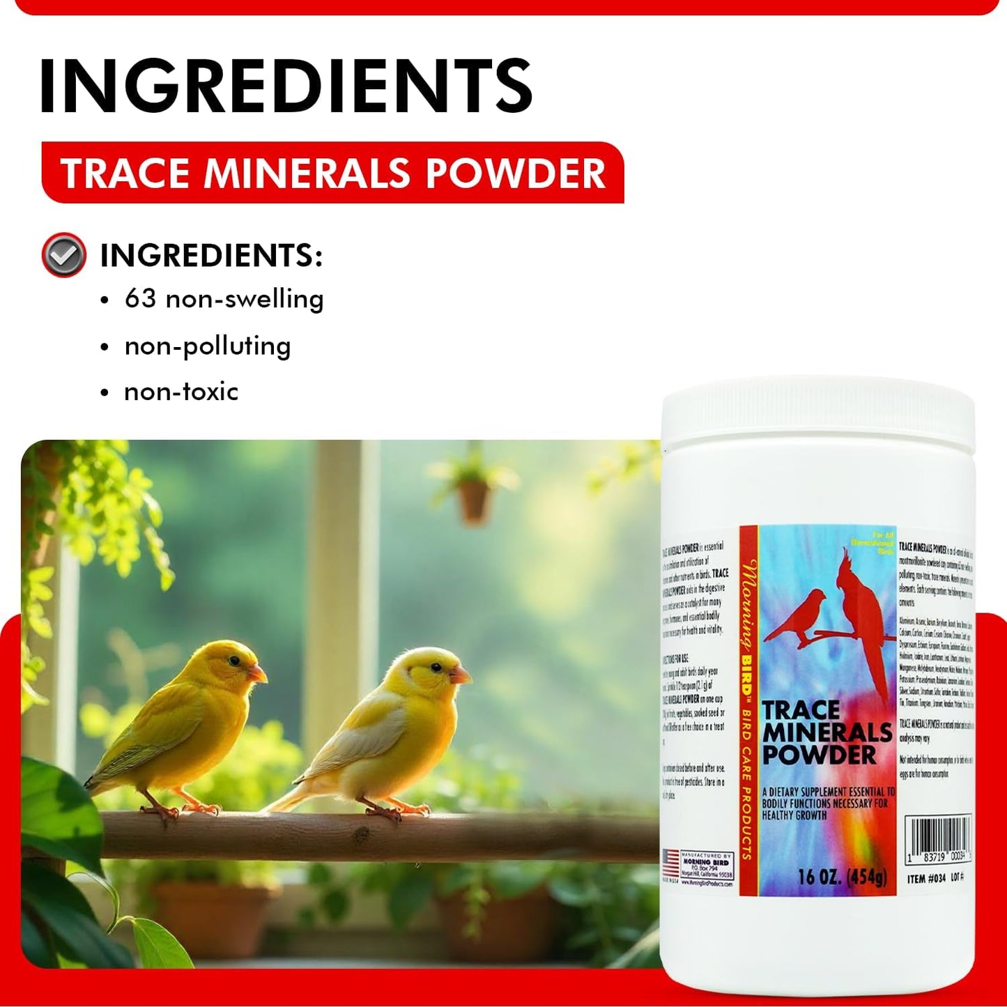 Morning Bird Trace Minerals Powder 16 Oz – Complete Mineral Supplement for Birds – Promotes Energy, Metabolism & Enzyme Activity – Easy to Mix for Daily Vitamin Support.