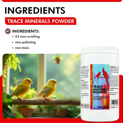 Morning Bird Trace Minerals Powder 16 Oz – Complete Mineral Supplement for Birds – Promotes Energy, Metabolism & Enzyme Activity – Easy to Mix for Daily Vitamin Support.