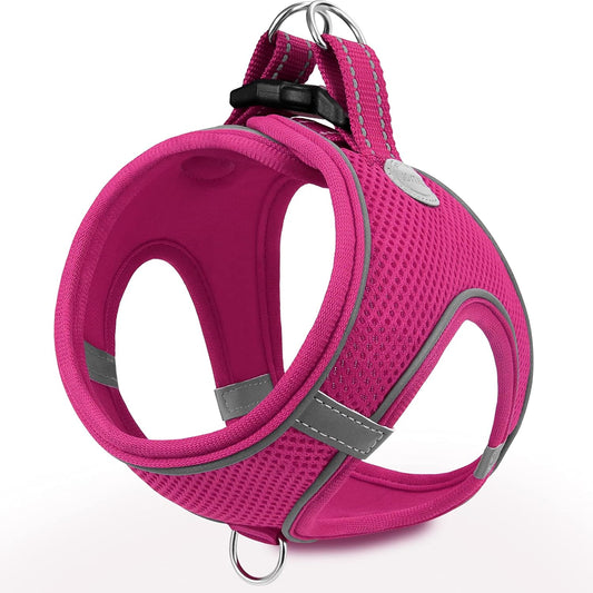 Joytale Small Dog Harness, Breathable Mesh Step-in Vest, Reflective Soft Padded Harnesses for Small and Medium Dogs, Hot Pink, L