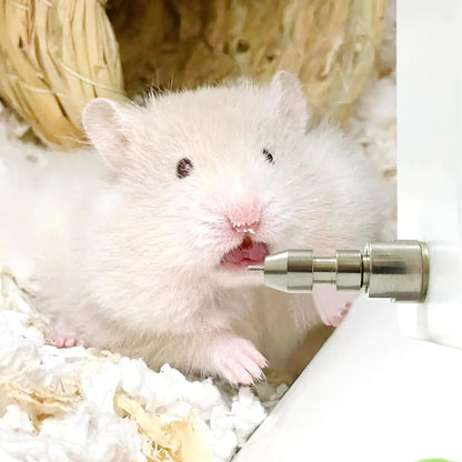 Stainless Steel Rabbit Water Nipples Feeder Automatic Watering System Kit for Guinea Pigs Ferrets and Other Rodent Small Animals (6PCS)