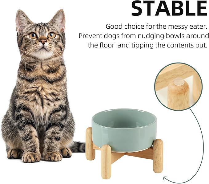 Ceramic 5.1inch Raised Dog and Cat Bowl Set, Elevated with Wooden Stand, Food and Water Bowl for Small Breed Dogs, Cats, Kitty, Weighted Dog Dishes, Pet Bowls(13.5oz, Light Green)