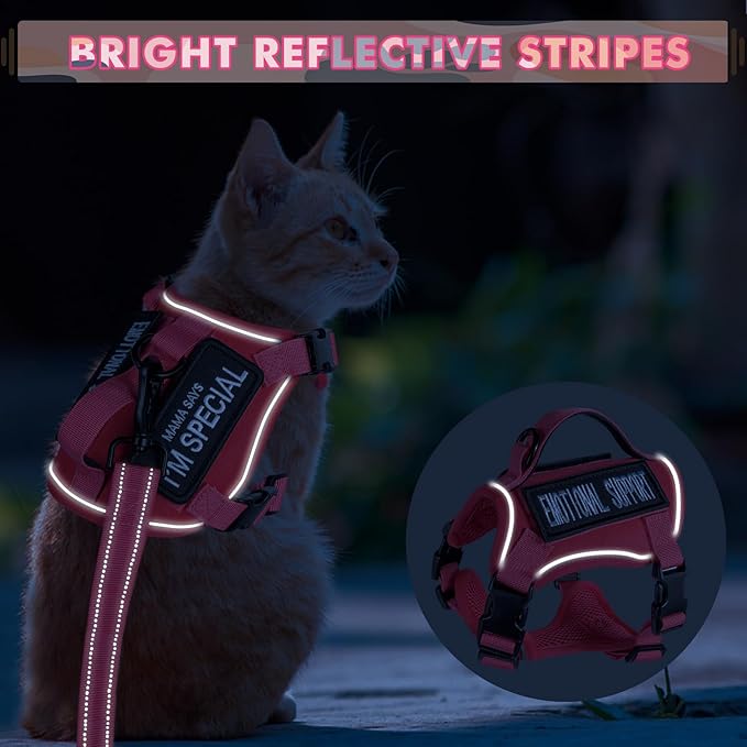 Tactical Cat Harness and Leash, Escape Proof Large Cat Walking Vest,Adjustable Soft Mesh Pet Vest Harness with Control Handle, Molle Patches (777816858438, Large)