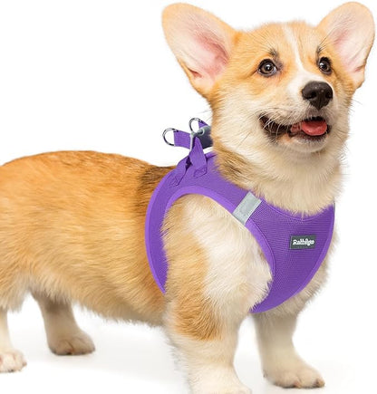 rabbitgoo Small Dog Harness, Step-in Soft Mesh Puppy Vest with Safety Buckle, Breathable Reflective Pet Harness for Small Medium Dogs, Purple L