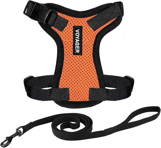 Voyager Step-in Lock Adjustable Cat Harness w. Cat Leash Combo Set with Neoprene Handle 5ft - Supports Small, Medium and Large Breed Cats by Best Pet Supplies - Orange/Black Trim, XS