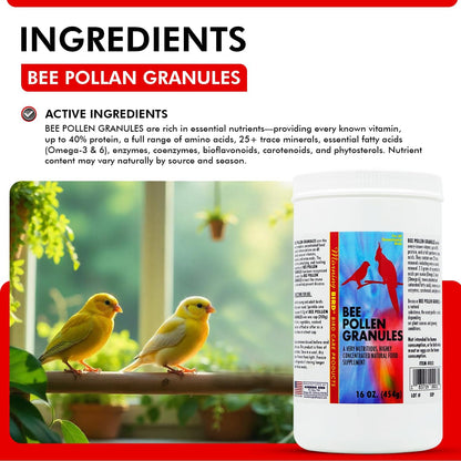 Morning Bird Bee Pollen Granules 16 Oz – Naturally Immune Support & Protein Powder for Birds – Boosts Strength, Feather Health & Energy Supplements – Easy to Mix with Food for All Bird Types