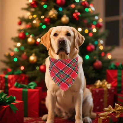 PTDECOR Christmas Dog Bandanas with Tassels Edges, 2 Pack Red Green Plaid Scarf Bib, Reversible Triangle Xmas Bandanas for Extra Large Dogs (X-Large)