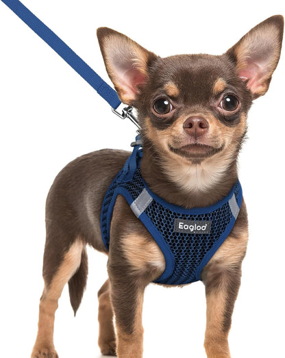 Eagloo Small Dog Harness and Leash Set, Step in Puppy Vest with Breathable Soft Mesh, Walking Reflective Pet Harness for Extra Small Dogs, Navy Blue, XXS