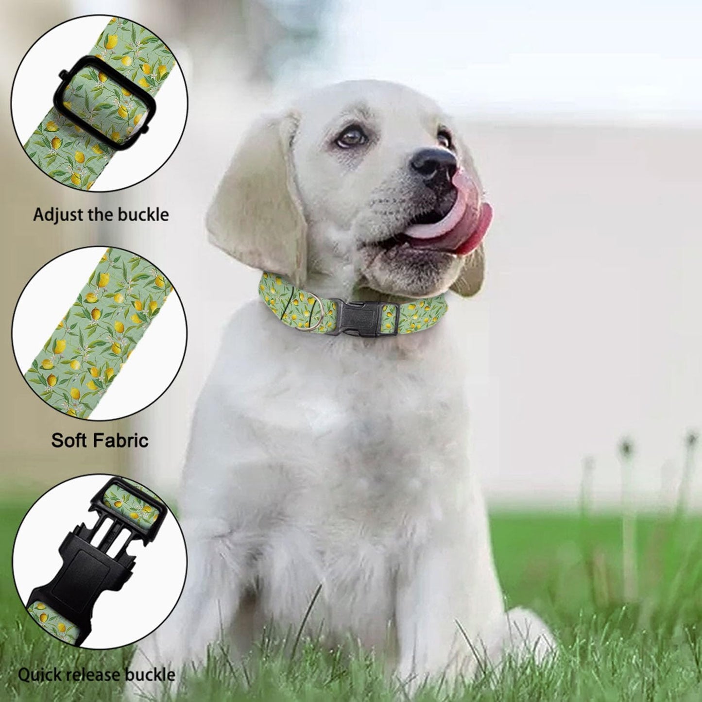 Yellow Lemon Fruit Green Leaf Dog Collars Soft Adjustable Collar Strap for Small Medium Large Dogs Cats Pet
