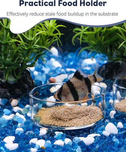 Pawfly Transparent Shrimp Feeding Dish, Clear Glass Aquarium Shrimp Feeder Dish, Food Tray for Fish Tanks and Terrariums (Without Suction Cup)