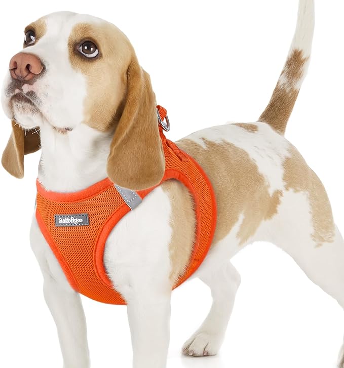 rabbitgoo Small Dog Harness, Step-in Soft Mesh Puppy Vest with Safety Buckle, Breathable Reflective Pet Harness for Small Sized Dogs, Orange M