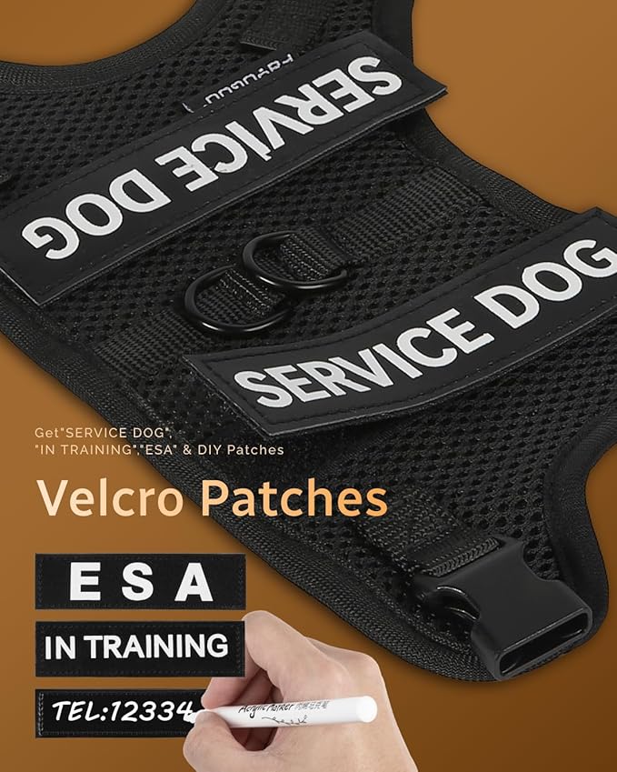 FAYOGOO Service Dog Vest for Small Dogs - Air Mesh Breathble Emotional Support Animal Vest with Velcro Patches - Puppy Harness and Leash Set Adjustable Neck and Chest