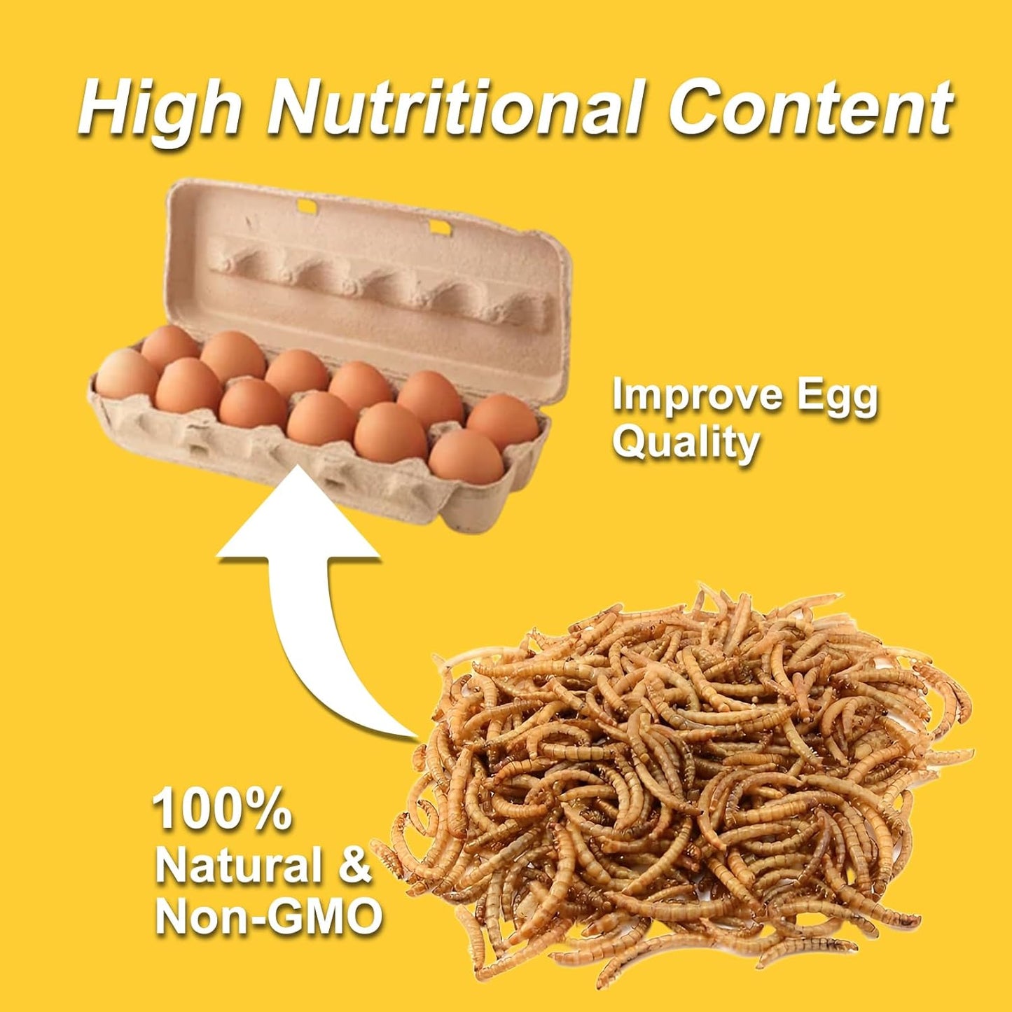 RANZ 5LBS Non-GMO Dried Mealworms for Chickens, High Protein Meal Worms, Premium Chicken Feed, Perfect Bird Food and Chicken Treats, Whole Large Mealworms for Wild Birds, Ducks, Fish