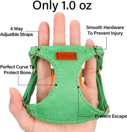 No Pull Dog Harness- Lightweight, Soft, Adjustable Small Harness Collar and Leash Set, Suitable for Cats Puppy Small and Medium-Sized Dog Outdoor Training and Running (Green, XXS)