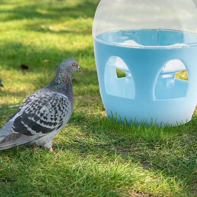 Pigeon Water Dispenser Feeder, 2L Water Pot Container with Handle for Pigeon Chicken Parrot Duck Poultry (Colors May Vary)
