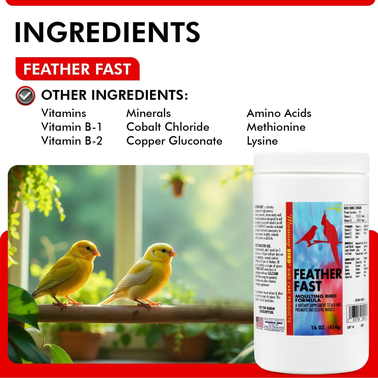 Morning Bird Feather Fast 16 Oz – Multi-Vitamin During Molt - Molting Support Supplement for Bird – Amino Acid & Vitamin Powder Formula– Promotes Feather Growth, and Full Plumage – for All Adult Birds