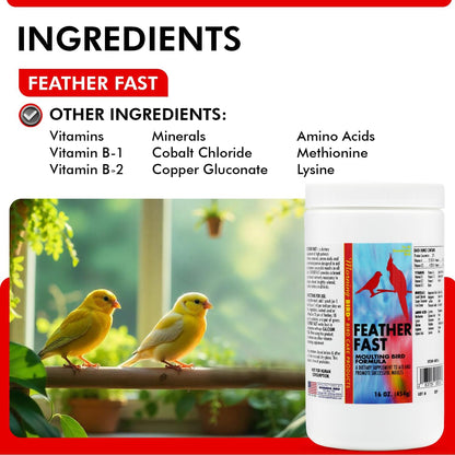 Morning Bird Feather Fast 16 Oz – Multi-Vitamin During Molt - Molting Support Supplement for Bird – Amino Acid & Vitamin Powder Formula– Promotes Feather Growth, and Full Plumage – for All Adult Birds