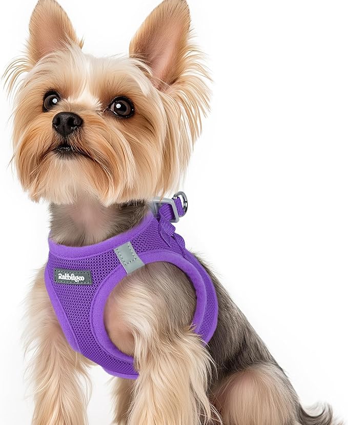 rabbitgoo Small Dog Harness, Step-in Soft Mesh Puppy Vest with Safety Buckle, Breathable Reflective Pet Harness for Small Sized Dogs, Purple XS