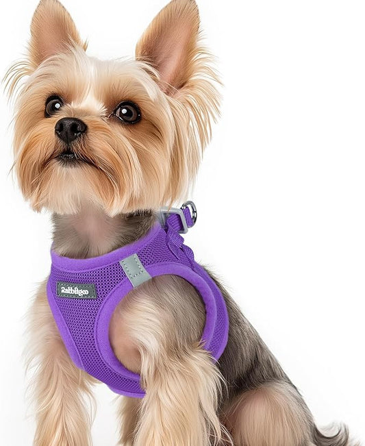 rabbitgoo Small Dog Harness, Step-in Soft Mesh Puppy Vest with Safety Buckle, Breathable Reflective Pet Harness for Small Sized Dogs, Purple XS