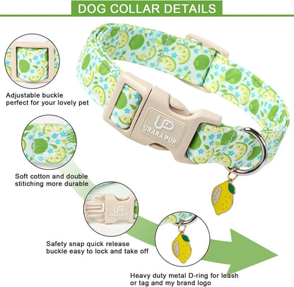 Summer Dog Collar-Refreshing Lime Pet Collars-Adjustable, Comfortable & Durable Puppy Collars for Small, Medium, Large Dogs